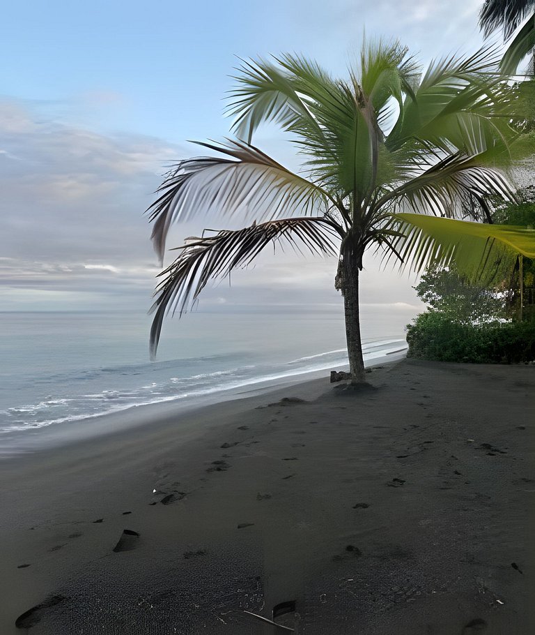 Paraíso con playas vírgenes & selvas en "Nuqui"
